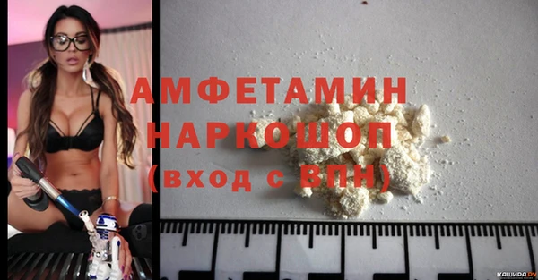 молекула духа Алексеевка
